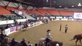 Individual Advanced Western Horsemanship at IHSA Nationals [upl. by Maighdiln]