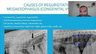 Chapter 3 Vomiting causes diagnostic therapy 17 القيء  أفكر ف أيه  أسباب، تشخيصات، علاج [upl. by Trescott]