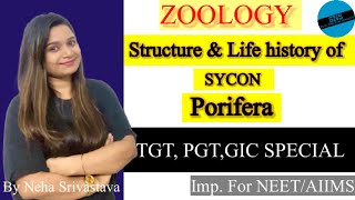 PORIFERA Structure and life history of Sycon  SNS  L2TGTPGTGIC BIO EXAMS 2021 Special [upl. by Kelley28]