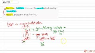 Assertion  Endosperm increases the success rate of seedling development Reason  Endos [upl. by Anallise]