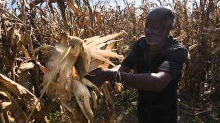 Interview with Paul Mapfumo University of Zimbabwe at the Agroecology Symposium [upl. by Karissa]