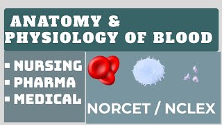 Anatomy and Physiology of blood  Nursing  Medical  NORCET  NCLEX [upl. by Just45]