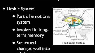 Adolescent Brain Development  Part 1 [upl. by Thane381]