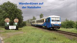 Wanderdünen auf der WeserAller Bahn [upl. by Martguerita]