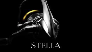 Unboxing Shimano Stella C3000FJ 2019 Model The Best Front Drag Reel [upl. by Beth]