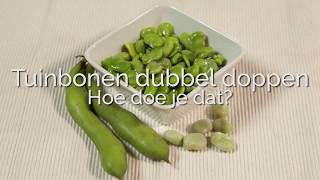 Tuinbonen dubbeldoppen hoe doe je dat PuurGezond [upl. by Ennail670]