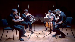 Brentano Quartet  Beethoven Op 132 and Haydn Op 20 No 2 [upl. by Ikeda]