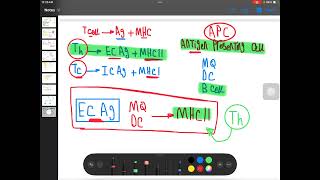 cell mediated Immunity part 1 [upl. by Weathers]