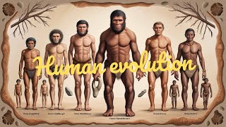 The Evolution of Humans From Dryopithecus to Modern Homo Sapiens [upl. by Netti]