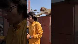 Chashma le Gaya Bandar souravjoshivlogs vlog YouTube search [upl. by Ledoux]