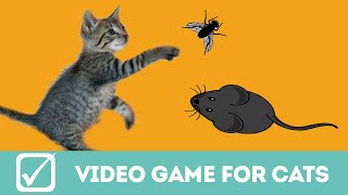 Video gioco per gatti il topo e la mosca con suono [upl. by Bronnie]