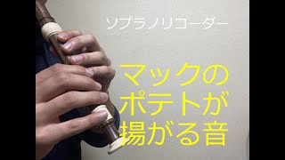 【リコーダー】マックのポテトが揚がった音【吹いてみた】 [upl. by Attennod247]