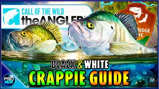 Crappie DIAMOND Guide  How to Catch Diamond Crappie  Call of the Wild the Angler [upl. by Aney735]