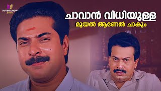 ചാവാൻ വിധിയുള്ള മുയൽ ആണേൽ ചാകും  Jagratha Movie  Mammooty  Mukesh  Jagathy Sreekumar [upl. by Svensen]