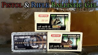 Norma Eco Speed22 amp Eco Power 22 22LR Ballistic Gel Test  Federal Punch 22 LR [upl. by Noll]