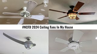 NCFD Special Ceiling Fans In My House 2024 [upl. by Neram]