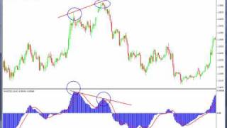 Forex Trading MACD indicator how to use Bearish Divergence [upl. by Woodsum58]