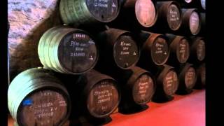 Caves de vinho do Porto  Port wine cellars [upl. by Aimehs]