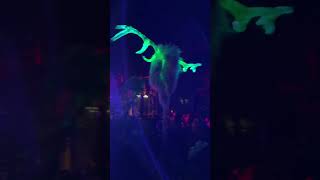 🔥 Crowd goes wild in the forest at Ikarus Festival 🙌🏻 shorts festival deephouse afrohouse [upl. by Dunkin39]