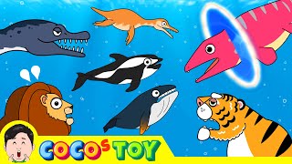 38MinㅣA collection of adventure stories across dimensionsㅣImagination kidstoonㅣCoCosToy [upl. by Normie]