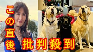 工藤静香さん 日本補助犬協会に寄付 「今必要な物を伺い、今回はオイルヒーター4台となりました 老犬たちが暖かく過ごせると嬉しいです❤❤」 [upl. by Glaudia]