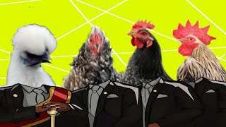 Cute Polish Chicken amp Orpington Chicken in Coffin Dance Meme Cover [upl. by Earla85]