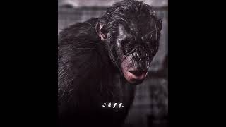 KOBA APES EDIT  quotAPES FOLLOW KOBA NOWquot  DAWN OF THE PLANET OF THE APES dawnoftheplanetoftheapes [upl. by Burkhardt]