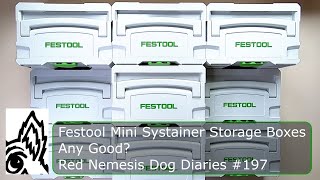 Festool Mini Systainer Storage Boxes Any Good Red Nemesis Dog Diaries 197 [upl. by Annoed]