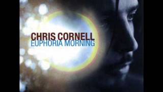 Cant Change MeFrench Version  Chris Cornell [upl. by Lacefield]