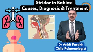 Stridor in Babies Causes Diagnosis amp Treatment I Dr Ankit Parakh Child Pulmonologist [upl. by Loar]