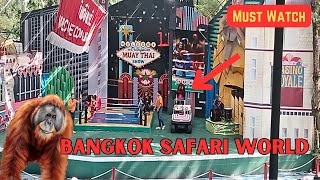 Funny Orangutan Boxing Show Must Watch Monkey Show Best Safari World Thailand Raw Footage From Zoo [upl. by Odanref]