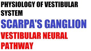 Neural pathways  Scarpas ganglion and Connections  of Vestibular system [upl. by Rebma]