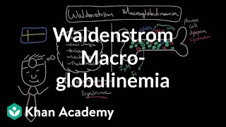 What is waldenstrom macroglobulinemia  Hematologic System Diseases  NCLEXRN  Khan Academy [upl. by Arelc503]