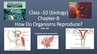 Class 10 Science Chapter 8 How Do Organisms Reproduce CBSE Detailed Explanation [upl. by Lillis937]