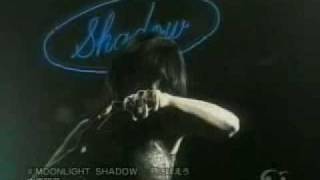 Akina Nakamori  Moonlight Shadow  月に吠えろ [upl. by Yelyr]