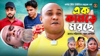 এক কামড়ে মরছে  Sylheti Natok  সিলেটি নাটক  Ek Kamore Morce  Kotai Miah  কটাই মিয়া [upl. by Aneloc]