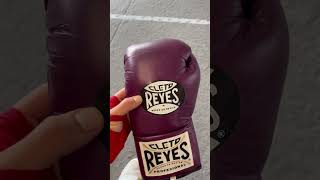 Cleto reyes 10 oz fight gloves  Horsehair [upl. by Adnarom521]