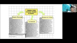 quotTenencia Patria Potestad y Régimen de Visitasquot [upl. by Ilsel]