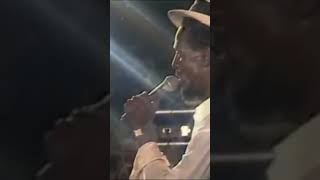 Gregory Isaacs Performing Too Good To Be True At Superstar Extravaganza [upl. by Dietrich118]