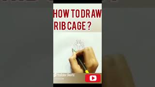 Rib Cage Drawing Step by Step ribcage drawing anatomydrawing [upl. by Eedolem]