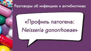 Профиль патогена Neisseria gonorrhoeae [upl. by Seana]