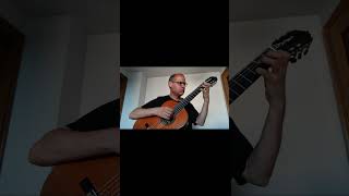 Le Papillon Op50 No7 Andantino Part 2  Mauro Giuliani [upl. by Eibreh]