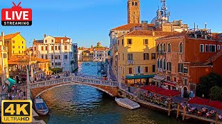 🔴 4K Live Cam of Ponte delle Guglie Venice  View from Hotel Leone Venezia  Live stream ライブカメラ [upl. by Imray]