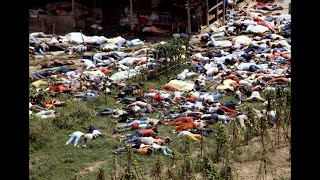 Jonestown Mass Massacre The Biggest Massacre In History shorts shocking documentary [upl. by Droc934]