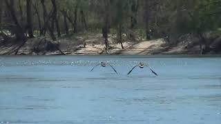 Boating on the Gasconade River [upl. by Sigismundo]