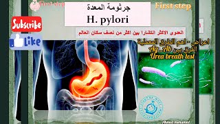 Hpylori جرثومة المعدةالطرق التشخيصية ايهما ادق الانتجين ولا الاجسام المضادة؟ واختبار breath test [upl. by Hodge902]