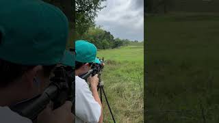 Bushmaster XM15 E2S  230 Yards [upl. by Atworth]