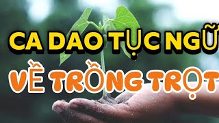 Những câu ca dao tục ngữ nói về TRỒNG TRỌT Ca dao tục ngữ Việt Nam [upl. by Nilreb]