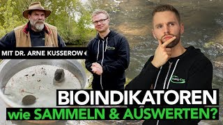 BIOINDIKATOREN in GEWÄSSERN richtig SAMMELN und AUSWERTEN 🐌🔬📊 [upl. by Durwyn708]