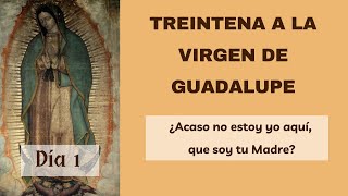 Treintena a la Virgen de Guadalupe 🌹 Día 1 ¡Haz tu petición [upl. by Morley946]